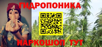 стаф Волжский